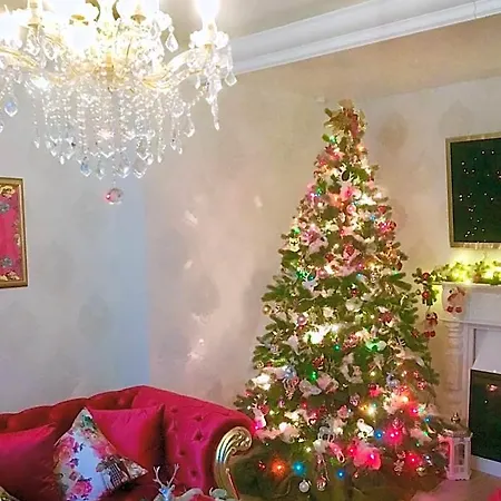 호텔 Boutiquehotel Rosenhof 바덴바일러